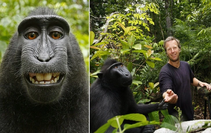 99FDB43D5F62CBFF2520D5