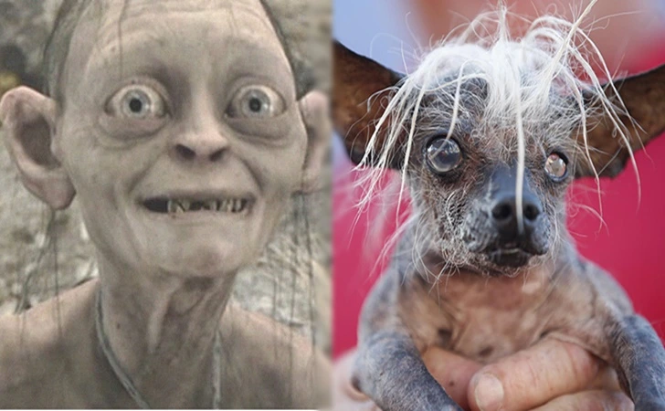 996F073D5FEECB2411AC38