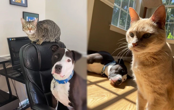 9935FC4D5F3327D7108B4C