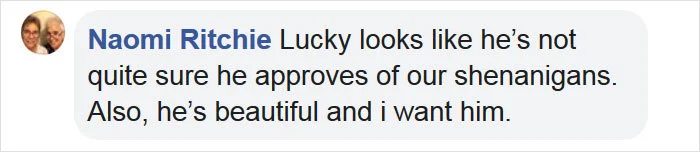 9931E13F5D595693079A41