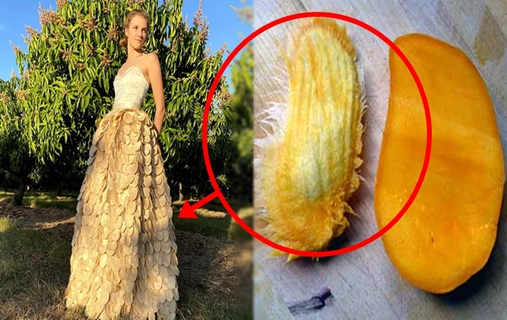 9941B54A5FCEC63F08D4DA