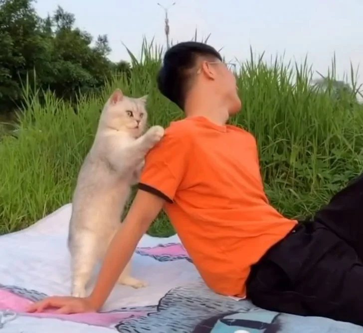 998C16355EEDC0010CA75A