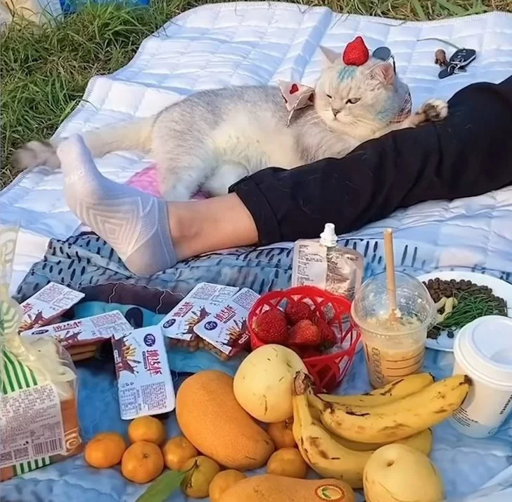 99C9B23A5EEDBF080F9BC8