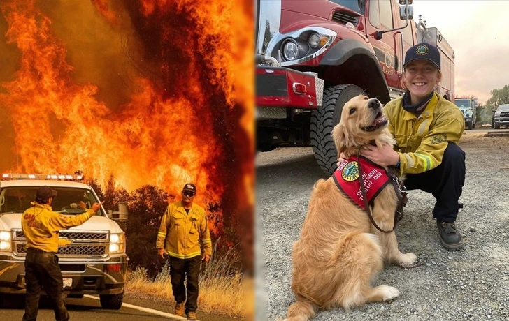 99475A395F642F83355819