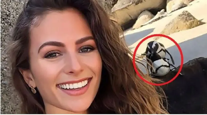 998DA53E5E3110642C46C3