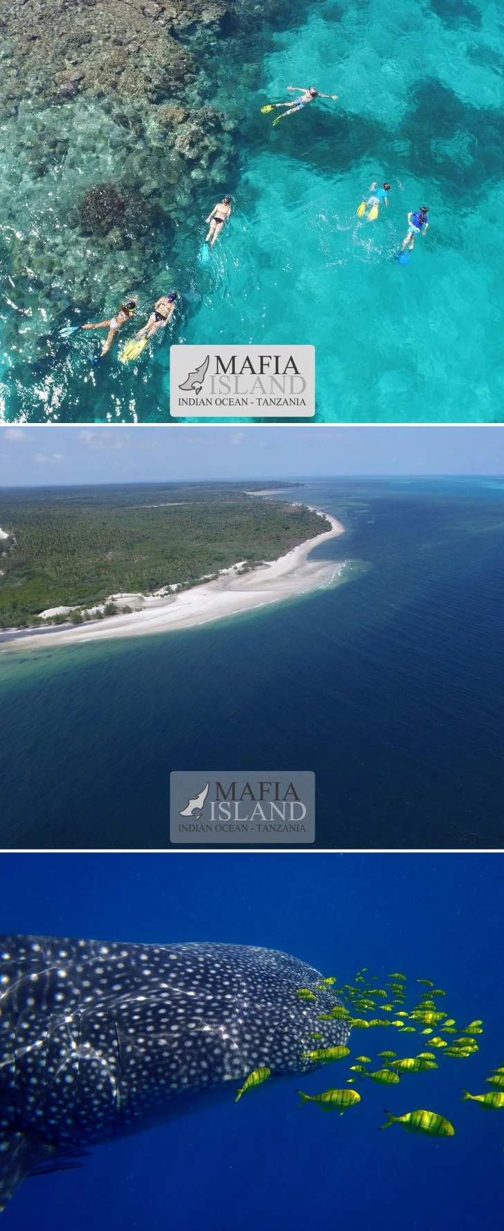 99A7583C5C31A46E10314D