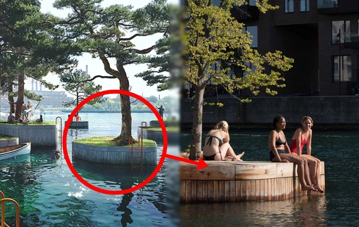 998A55495F2D1E340506DF