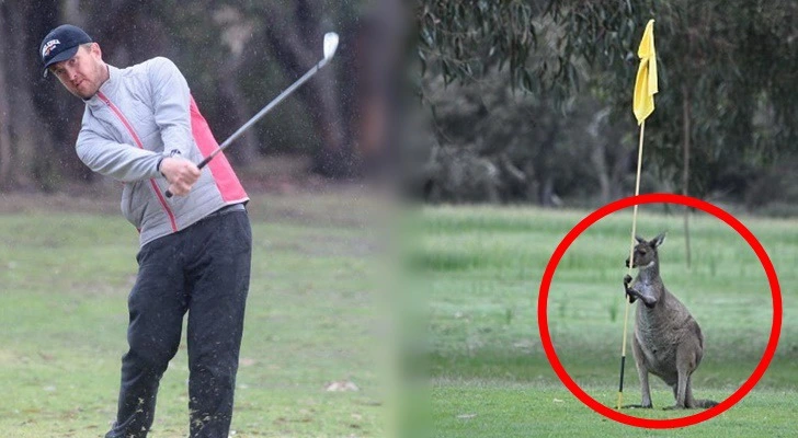 99626F4A5D0727180F30E2