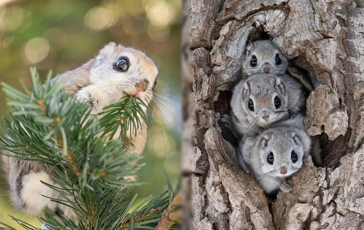 99FFEC405F4F07A5278A26