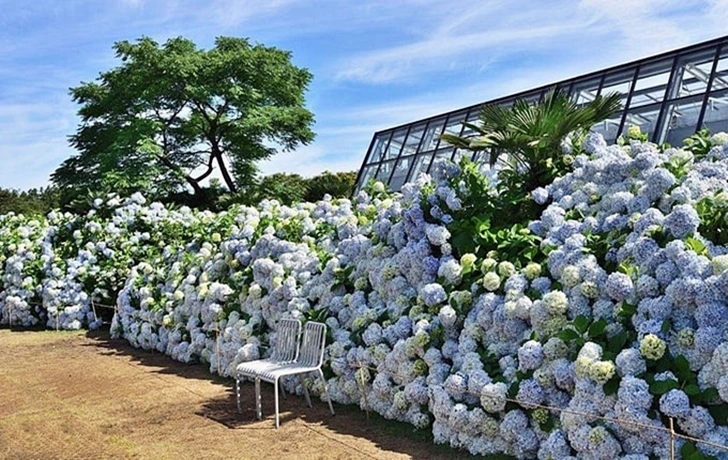 99A46F3B6004DEA307AF08