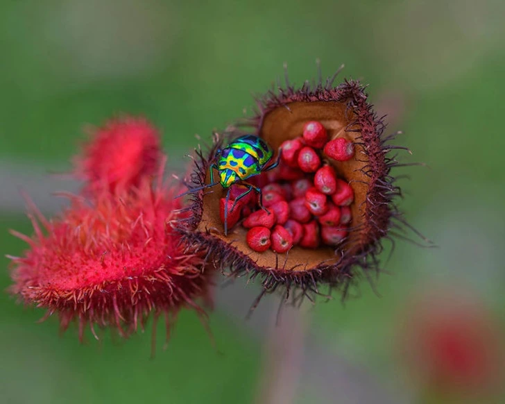 992DA8385F3B9E13328FEF