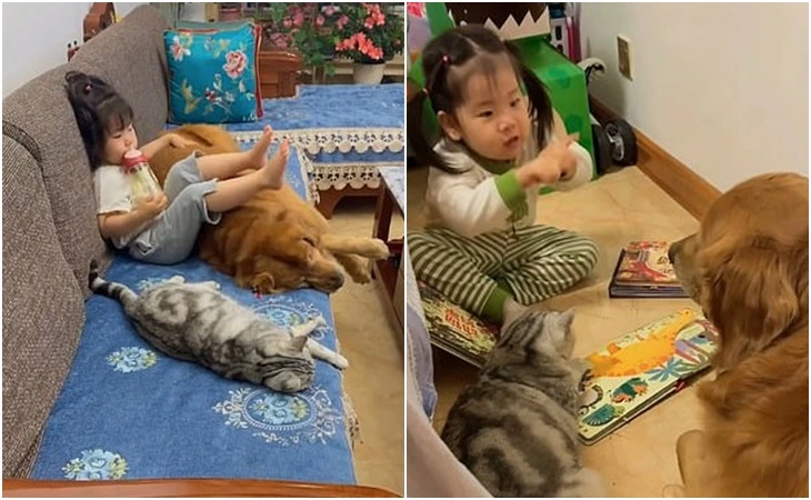 99BD8D3E5FD47DF11ED436