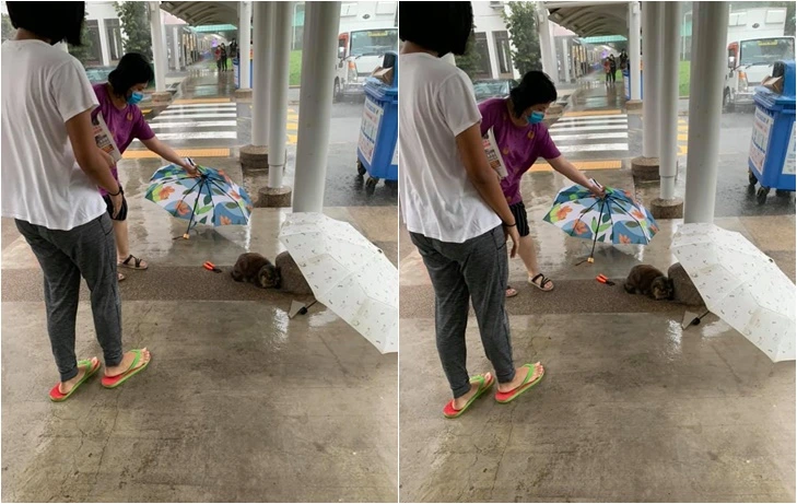 999FC14B5FB7D27E1C8E93