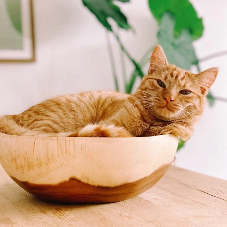 99B15C475FBD126410C3D4