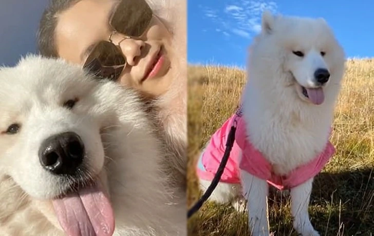 99CD8D385FD008360C0B2E