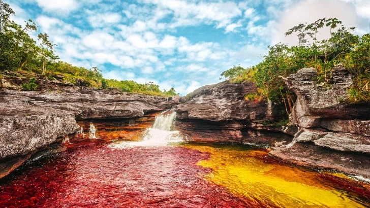 99E03A415D8B3C882DE0CA