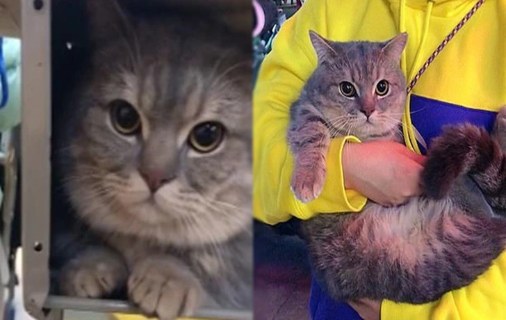 994324345FCAE0F90E3B1C