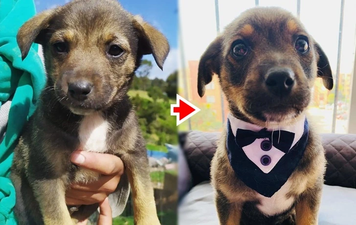 99540A4A5F64A14E22CD50