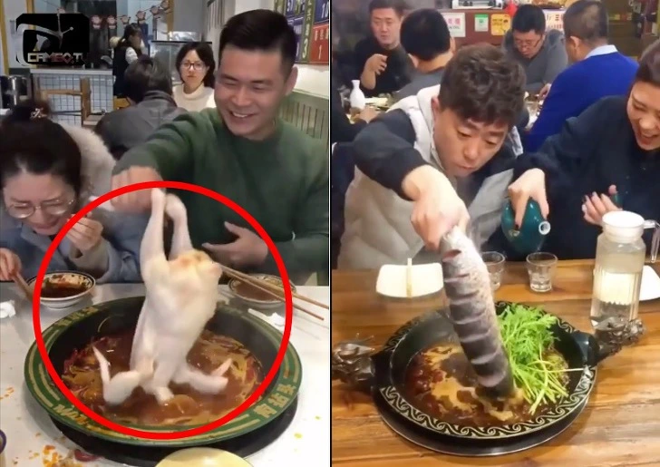 99A819495E210491237AA0