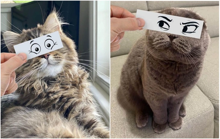 9956473F5F4D87CD0F20A8