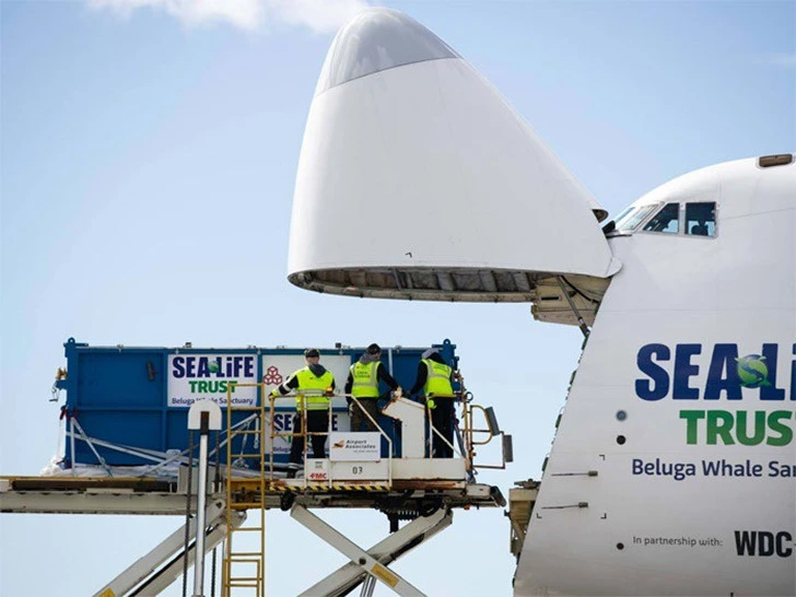 99C2354D5F352C6C18488A