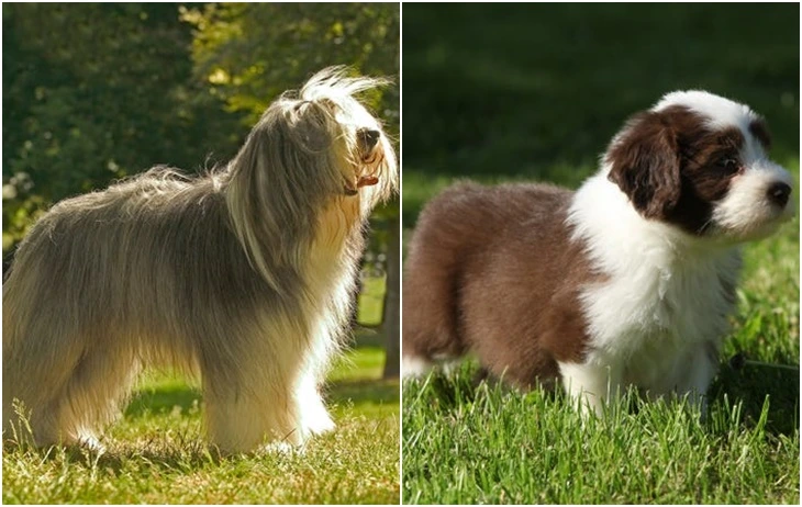 994EA4495F71AB3F1CADDE