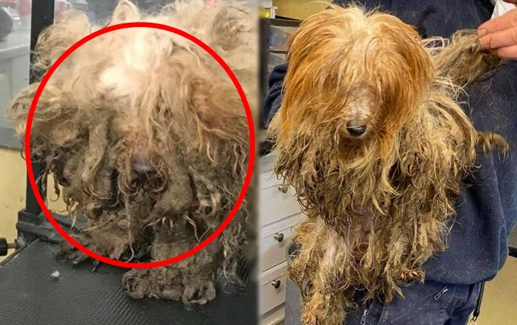 99EEDB456010CBC00B7587