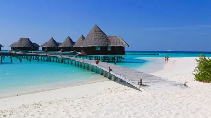 99E3BF505CFA33EC2D3496