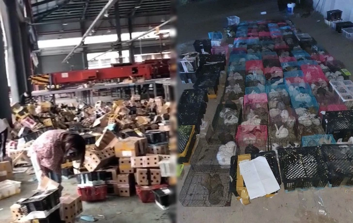 998AF0425F76969B150CAE