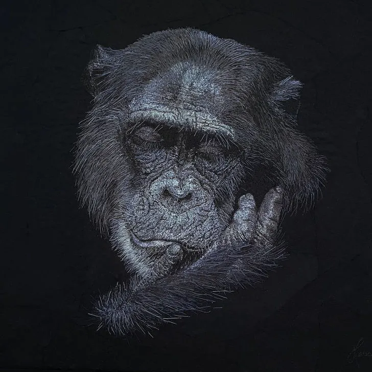 9980594C5F1FC0B724F29D