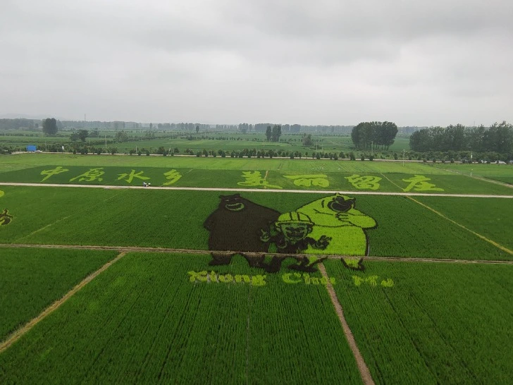 99EFFC375F24980009371D