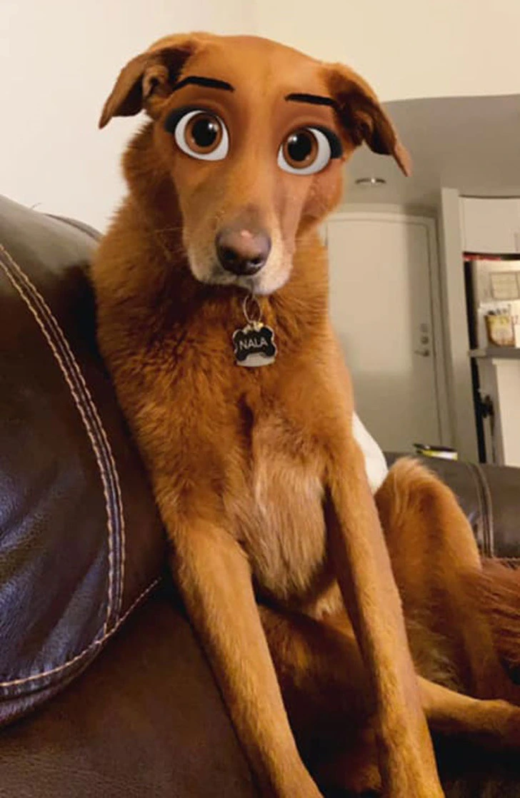 9968A7405F2FFE820CC23F