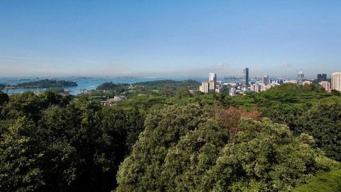 99D7CD415C6CBBEF193C2D