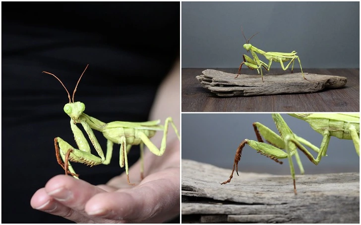 99BBD8395D27346B10C843