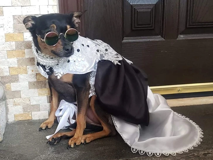 99367A4F5FC484A1215858