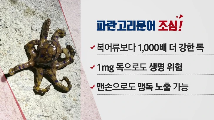 99F4D24D5D34977326315B