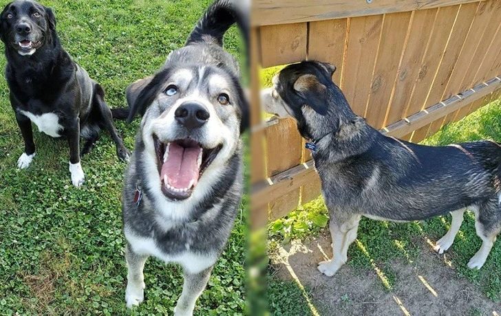 99FFDB395F3E52EF05B032