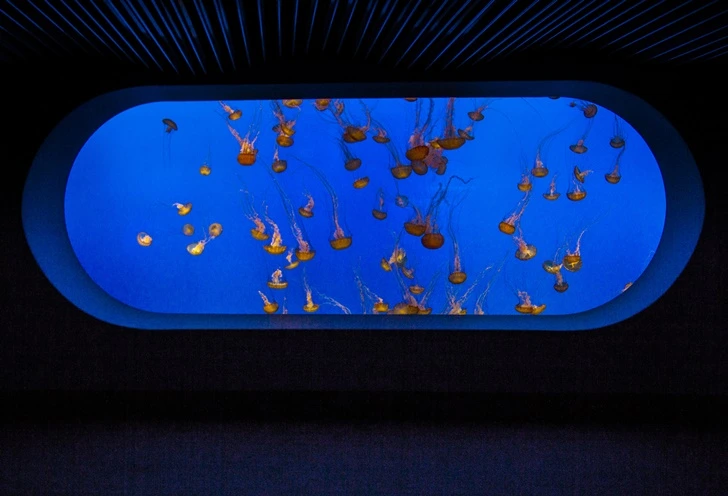 9909E8465F700DD722B651