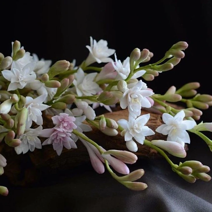 991ECF425F517A4715FD18