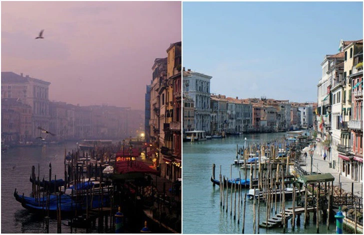 99F24A4C5EA238232C28AD