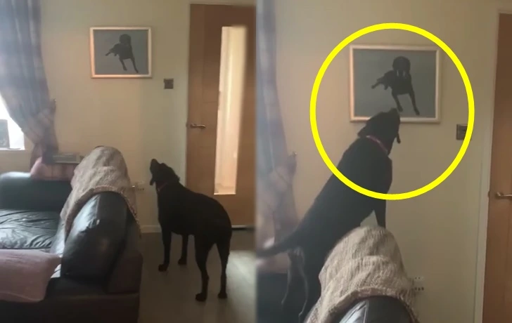 9914A0425FBB6A2934C26D