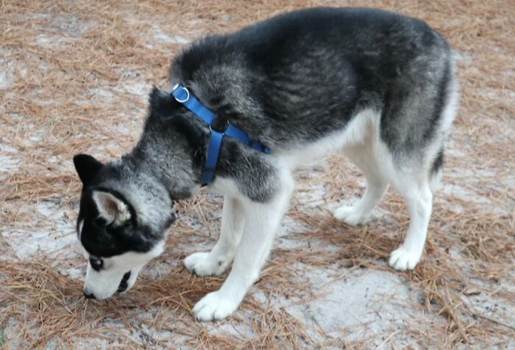 991D09345FDD76CA167925