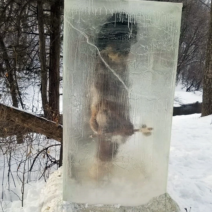 99C90D3560078EFE094B49