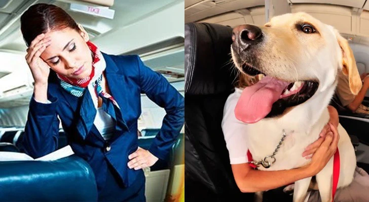 99C52B335D3C62810E89B0