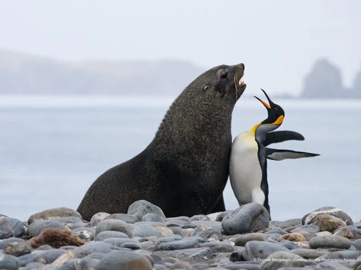 9924D2345F431D9E27BE7C