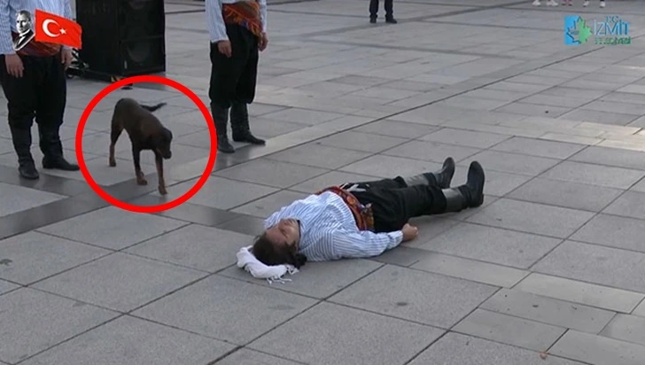 9974BC4A5F61AEAD19776B