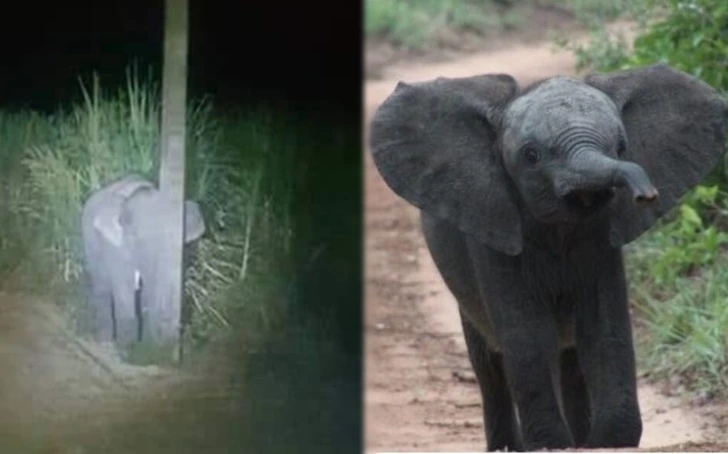 99EAEB365FB8CFB624609B