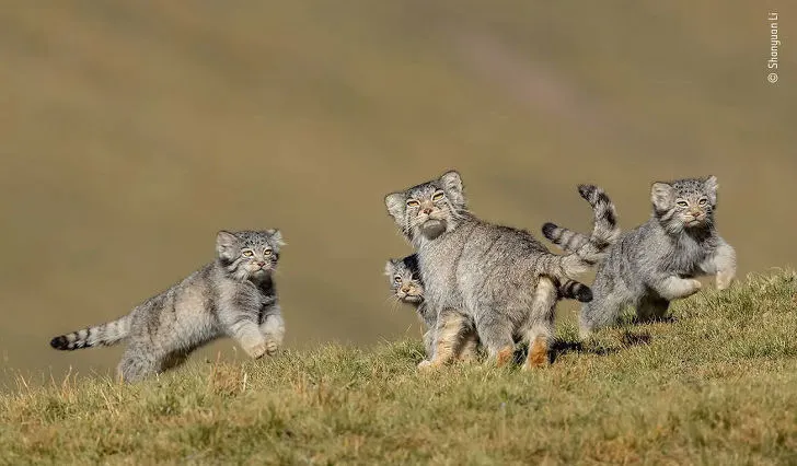 9934F23C5F8842DD242D74