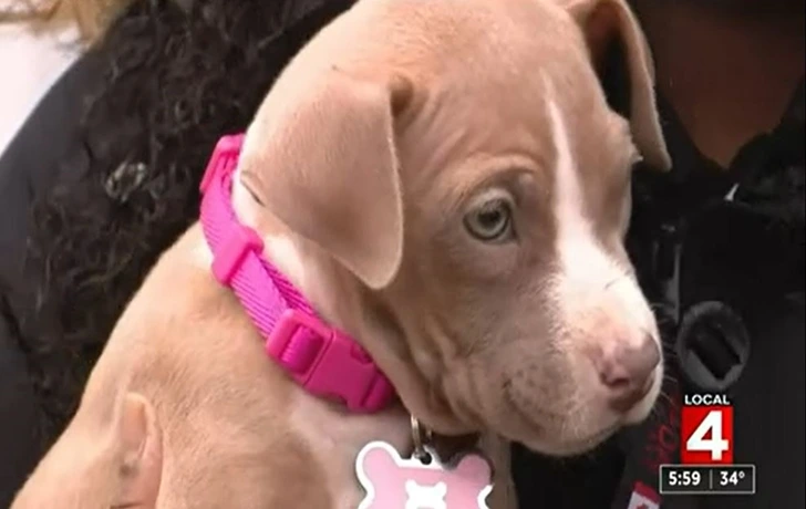 996E214560026CC0095984