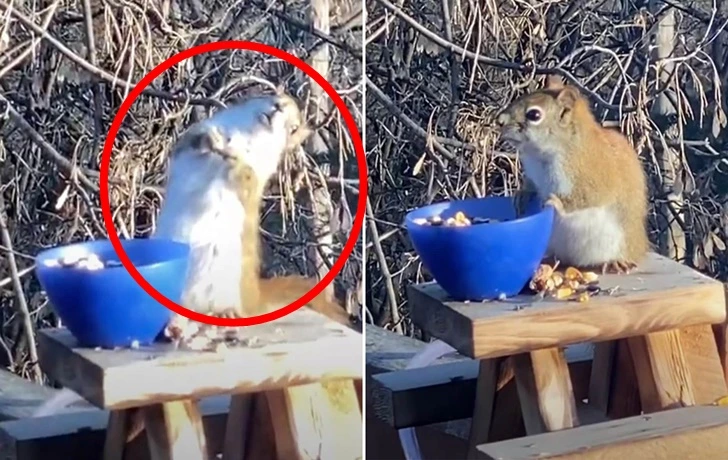 9995214F5FC3252515C08B